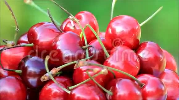 红樱桃旋转鲜熟水果视频的预览图