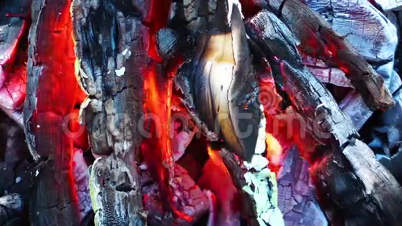 煤炭和木材火灾视频的预览图