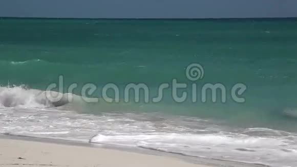 野生海滩PlayaLosCocos加勒比古巴视频的预览图