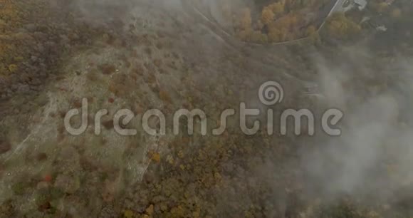 带着薄雾飞越山林视频的预览图