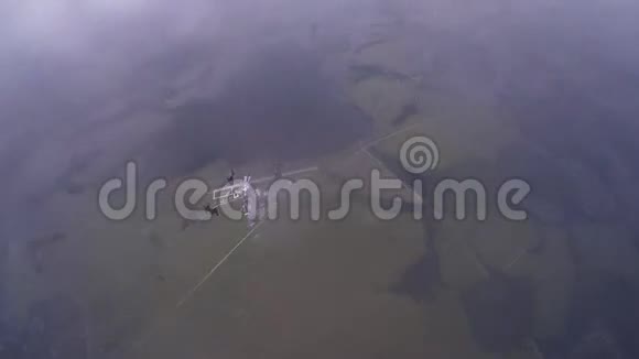专业的跳伞员打开降落伞在空中飞过绿色的田野极端视频的预览图