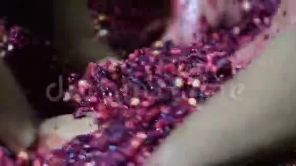 Bignay家庭葡萄酒加工多手粉碎水果视频的预览图