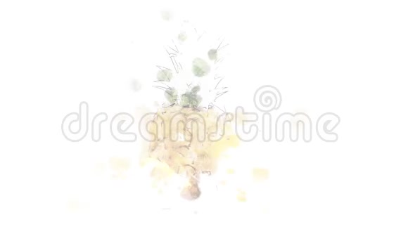 菠萝的动画插图视频的预览图