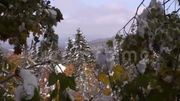 斯洛文尼亚阿尔卑斯山秋天初雪视频的预览图