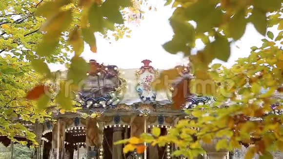 黄秋叶背景旋转木马视频的预览图
