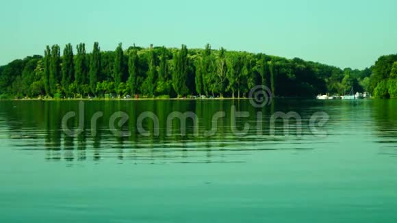 湖景景观湖水起伏的绿色森林倒影视频的预览图
