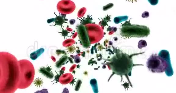 白色背景下产生的病毒细胞红细胞和细菌视频的预览图