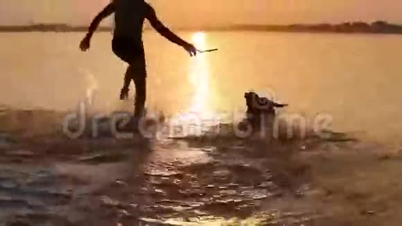 一个带着小猎犬的人在海边夕阳的海浪中视频的预览图