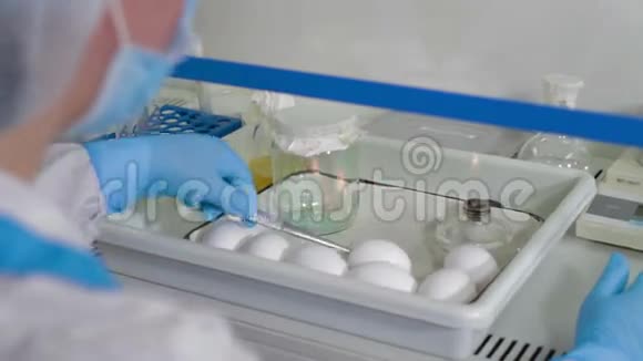 科学家在食品实验室做鸡蛋试验视频的预览图