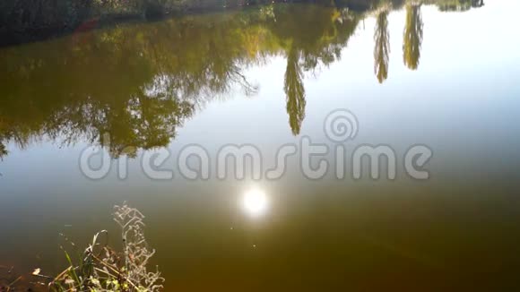 湖泊景观树木倒映在水中镜头耀斑和十月的阳光视频的预览图