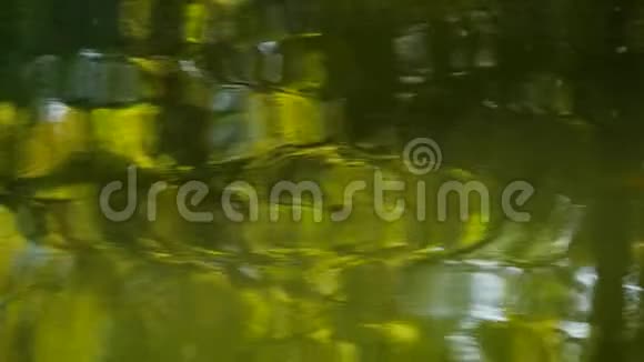河水的水面视频的预览图