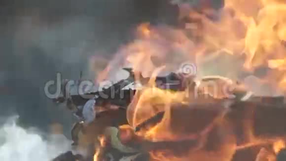 燃烧的木头森林大火视频的预览图