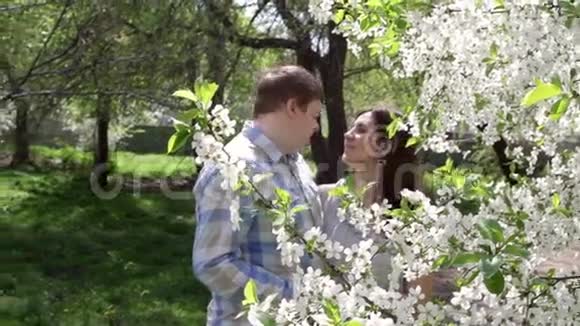 可爱的一对夫妇在一棵盛开的树附近的公园里散步视频的预览图