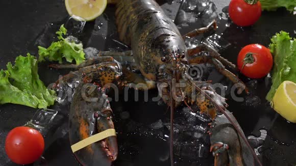 以生蟹和各种鱼类为背景的活龙虾在冰上视频的预览图