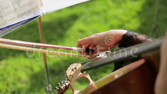 音乐家演奏小提琴视频的预览图