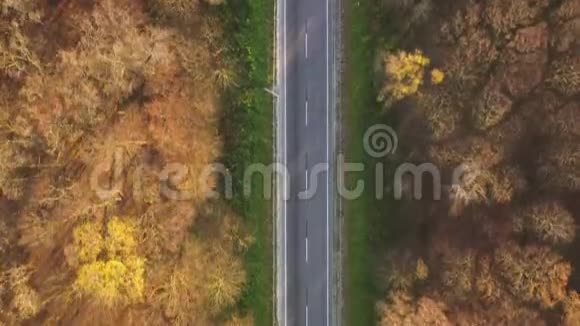 从高处看秋林环绕的道路视频的预览图