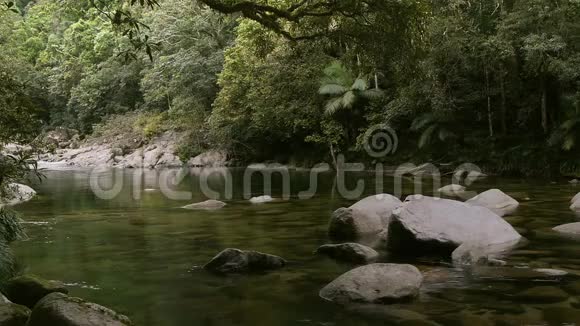 热带雨林河视频的预览图
