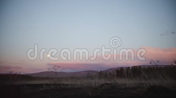 日落时田野里美丽的春景视频的预览图