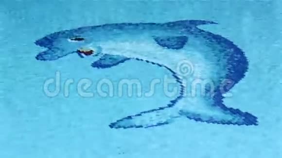池面波浪与海豚马赛克视频的预览图