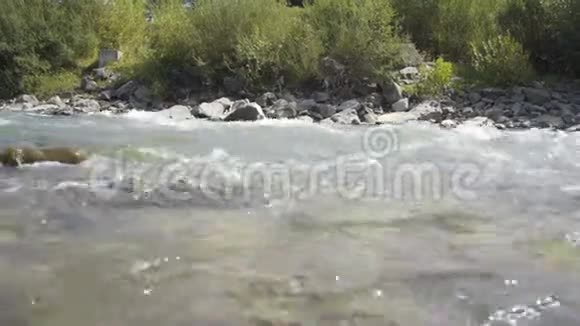 一条山河沿着森林流视频的预览图