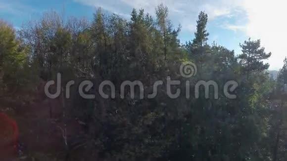 森林中山顶的塔视频的预览图