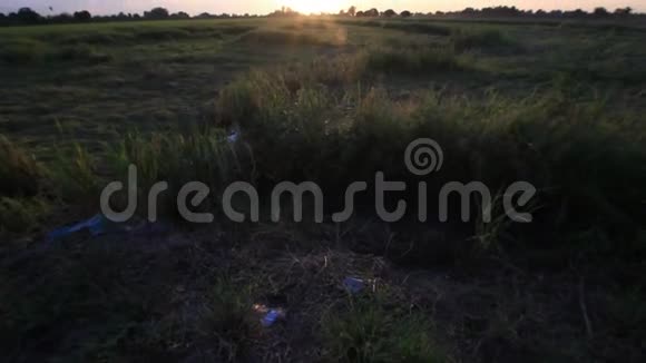 夏季日落剪影时间视频的预览图