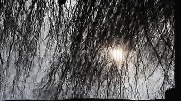 河水中倒影树木和太阳视频的预览图