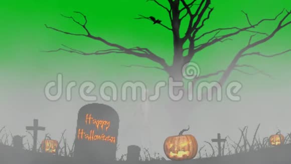 墓地里雾中的骨架万圣节快乐绿色的屏幕视频的预览图