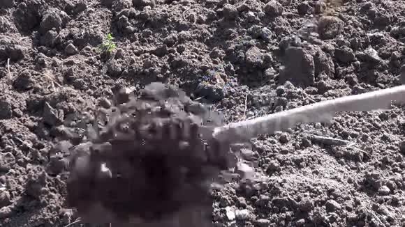 用园叉工具挖泉土土视频的预览图
