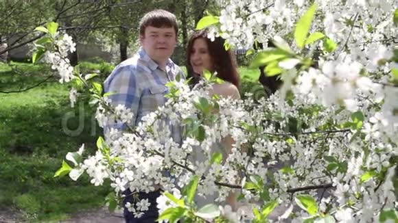 可爱的一对夫妇在一棵盛开的树附近的公园里散步视频的预览图