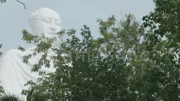 佛的大型雕塑视频的预览图