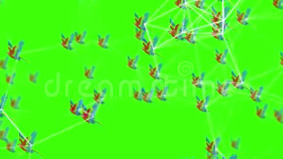 4k鹦鹉运动背景与神经丛元素视频的预览图