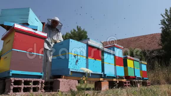 养蜂人养蜂人正在收获蜂蜜古董视频的预览图