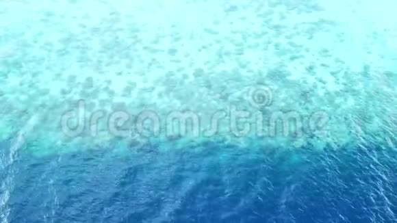印度尼西亚珊瑚礁下降的鸟瞰图视频的预览图