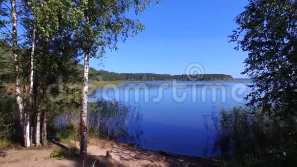 俄罗斯塞利格湖上岛上水域森林和芦苇的鸟瞰图视频的预览图