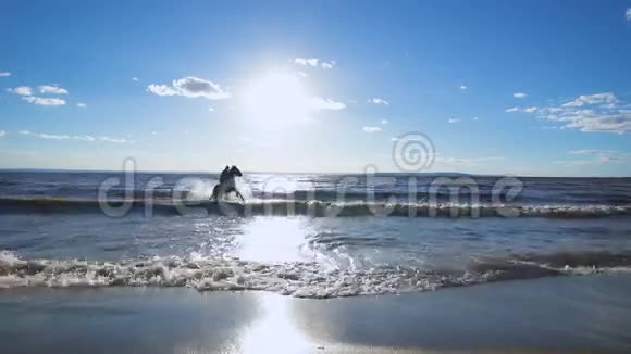 一个在湖边骑马的美女视频的预览图