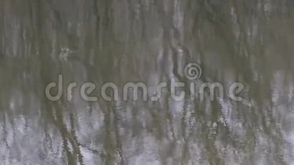 秋高气爽的早晨湖面上第一块冰视频的预览图