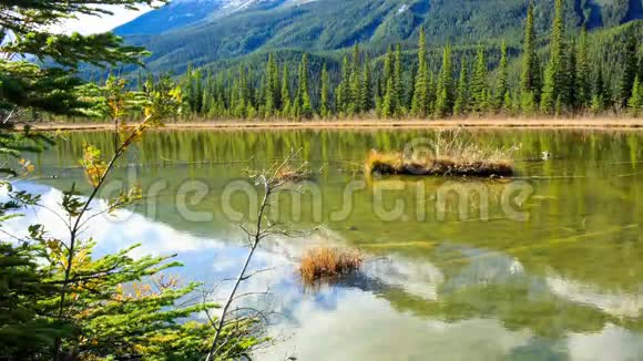 安静而风景如画的加拿大湖视频的预览图