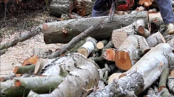 带气链锯音响切割锯木柴工视频的预览图