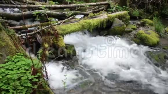 相机移动过去的流动河视频的预览图