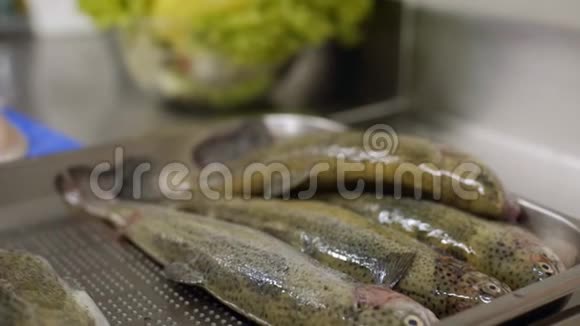 切鱼准备专业厨房视频的预览图