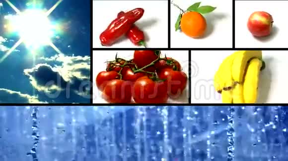 蔬菜分屏旋转360视频的预览图