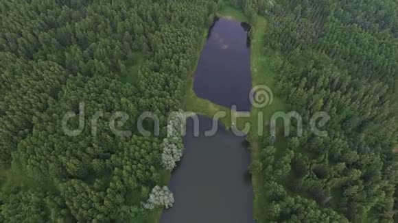 带着湖在森林上空飞行视频的预览图