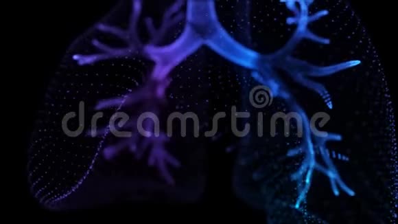 旋转360度人肺发光蓝光粒子点人肺模型无缝环形运动视频的预览图