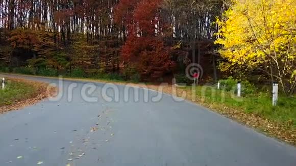 山路和美丽的秋景视频的预览图