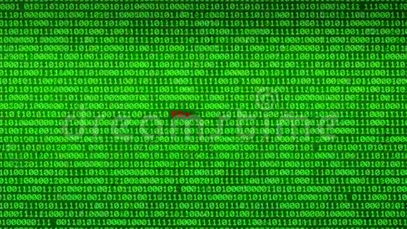 绿色二进制代码的墙揭示模糊异常数据矩阵背景视频的预览图