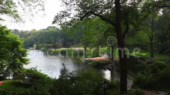 纽约中央公园池塘景色视频的预览图