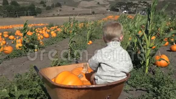 有南瓜的男孩坐在农场的手推车里视频的预览图