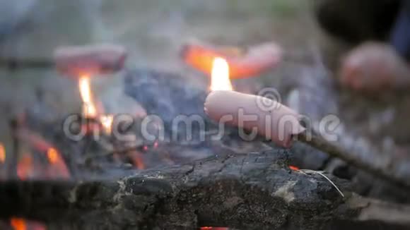 旅途中游客的幸福家庭妈妈和孩子们在帐篷附近的火上煎香肠视频的预览图