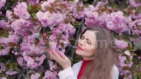 樱花树上美丽的姑娘春天的粉红色花朵视频的预览图